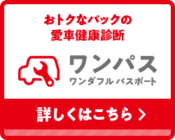 ワンパス ワンダフル パスポート
